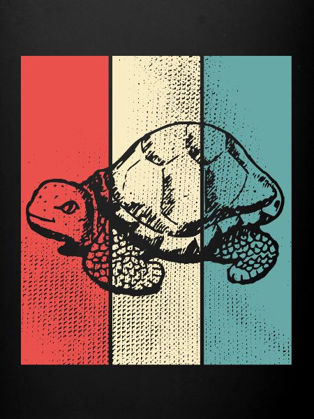 Turtle retro style
