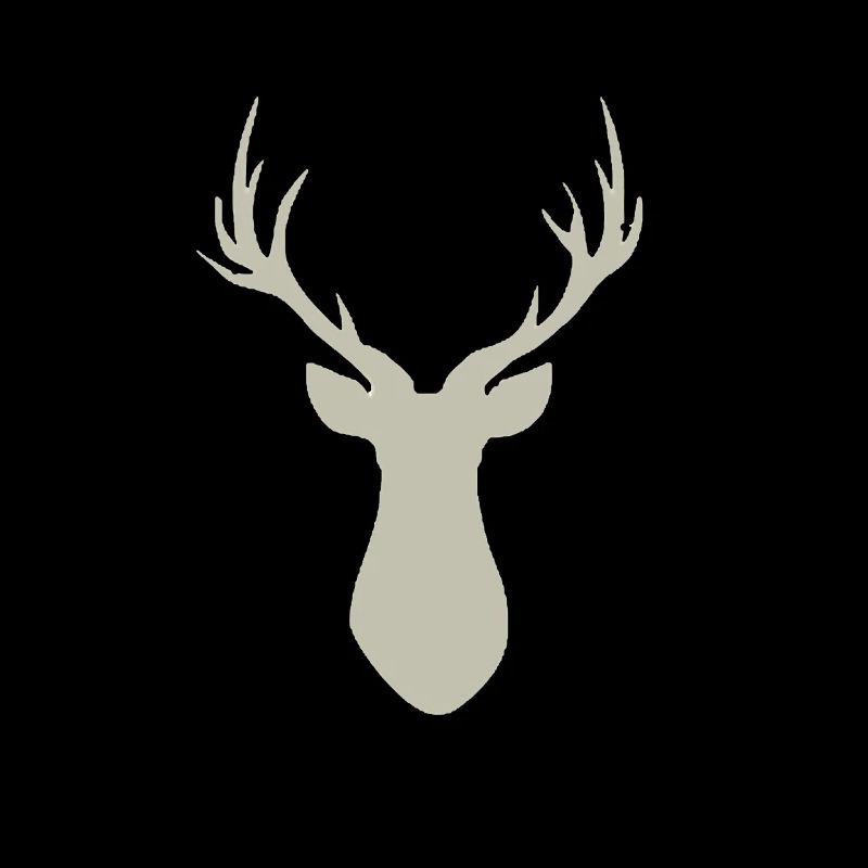 Deer antlers in silver