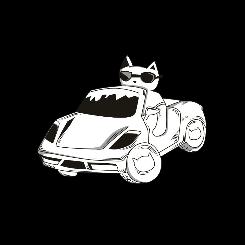 Katze im Auto / Geschenk / Geschenkidee