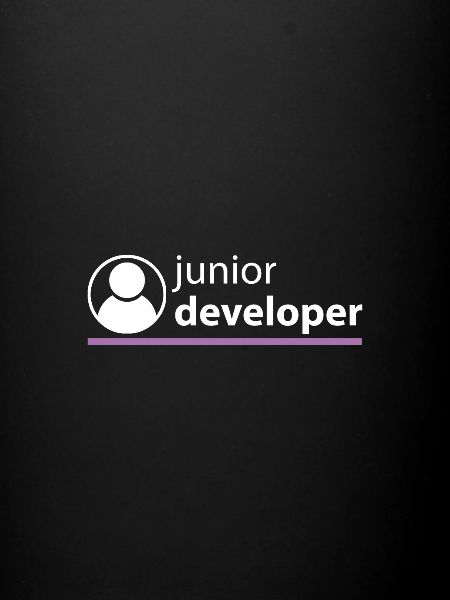 Junior Developer
