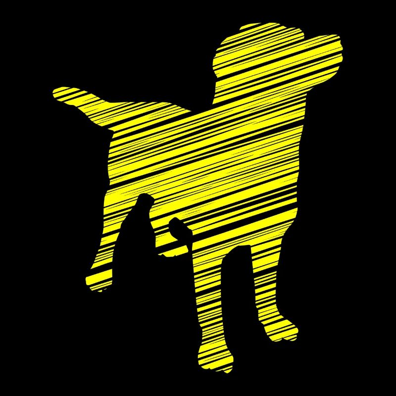 Hund