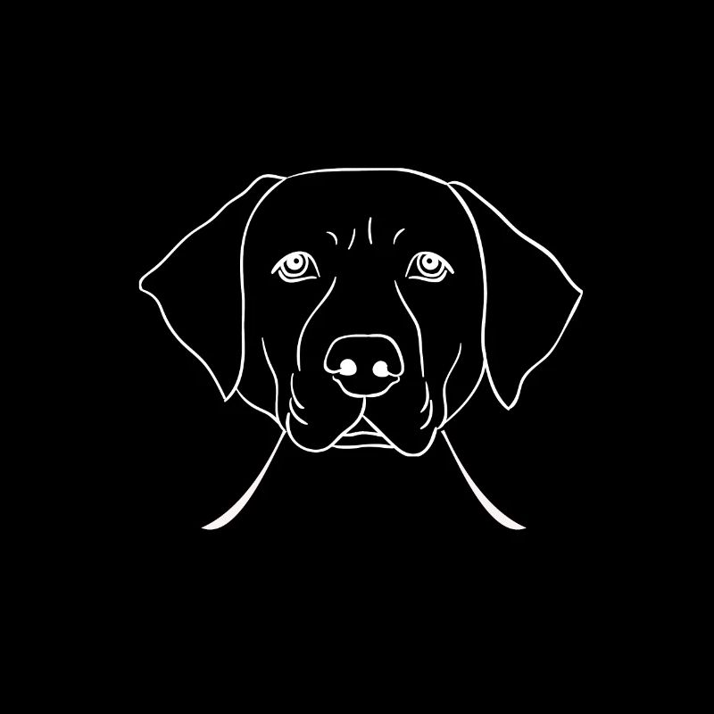 Labrador