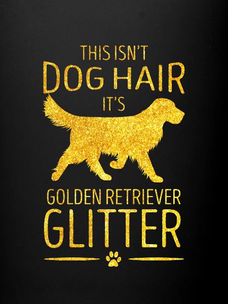 Golden retrievers