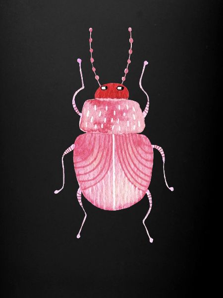 Sarcastic Beetle