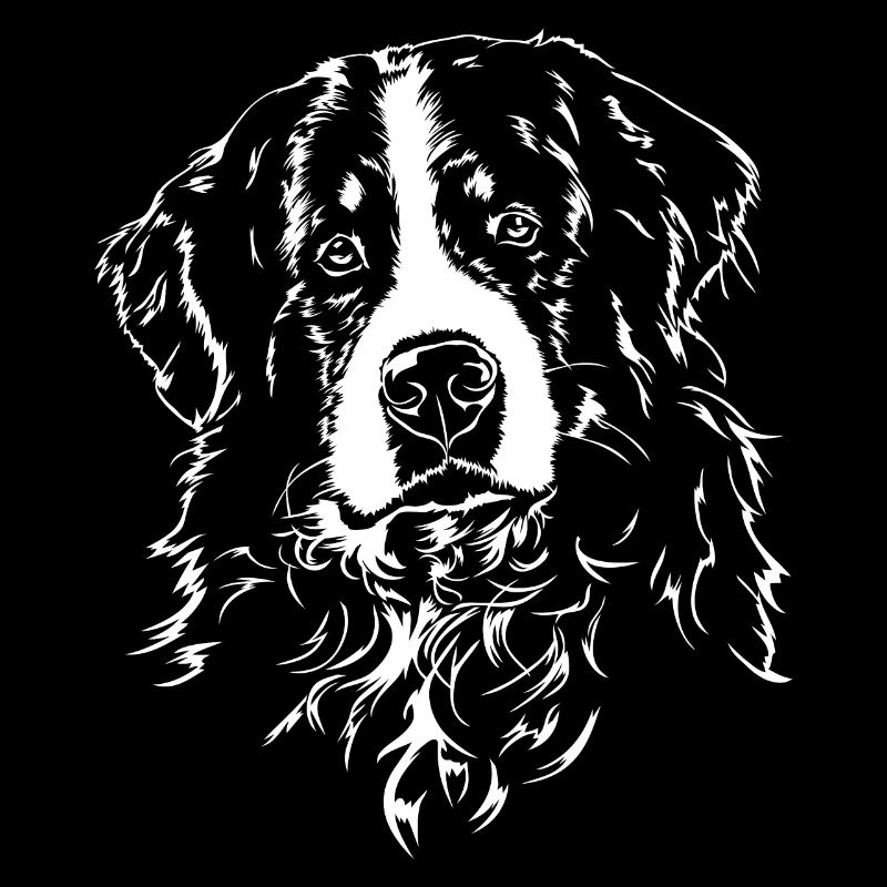 BERNER SENNENHUND Portrait de chien des chiens de Wilsign