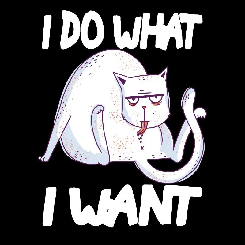 chat arrogant drôle