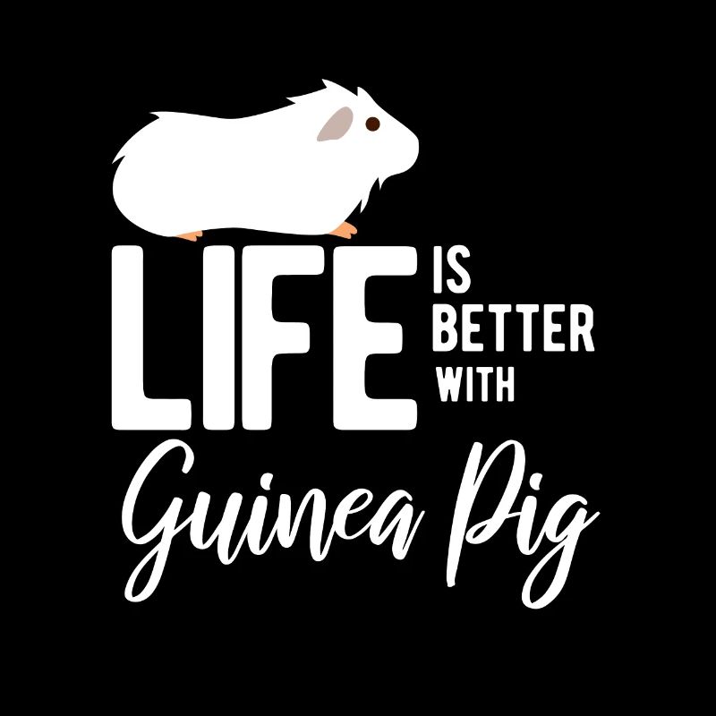 Cochon d'Inde