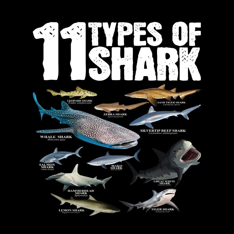 11 types de requin Sauver les requins-chéris