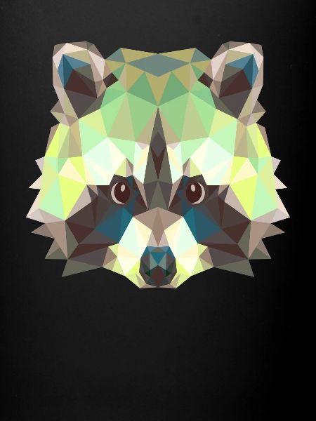 Raton laveur