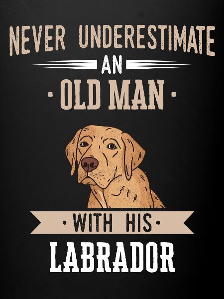Chien Labrador