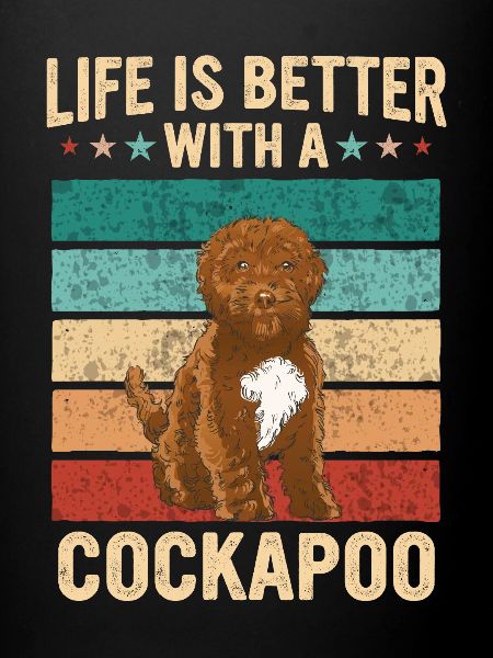 Cockapoo Hund