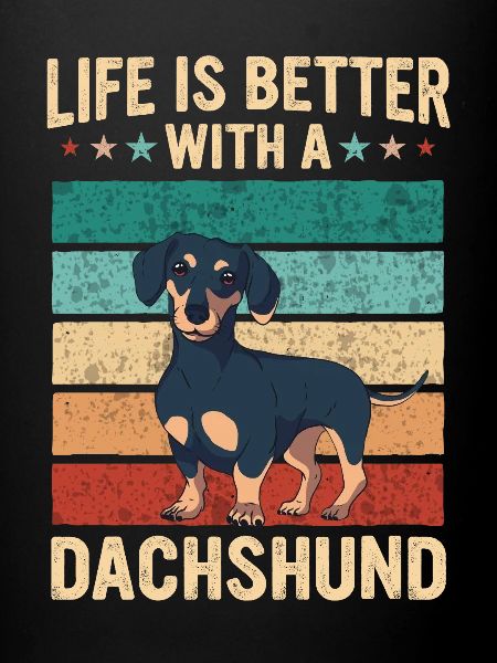 Dachshund Dog
