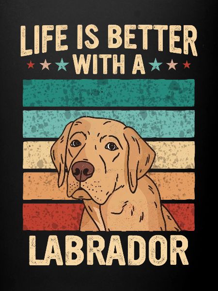 Chien Labrador