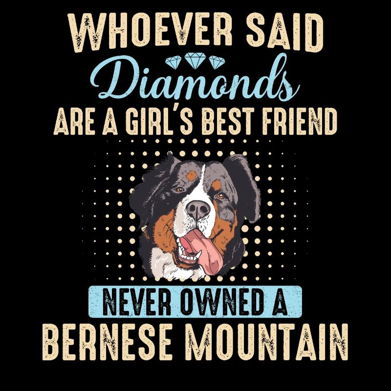 Bernese Mountain Dog Dog