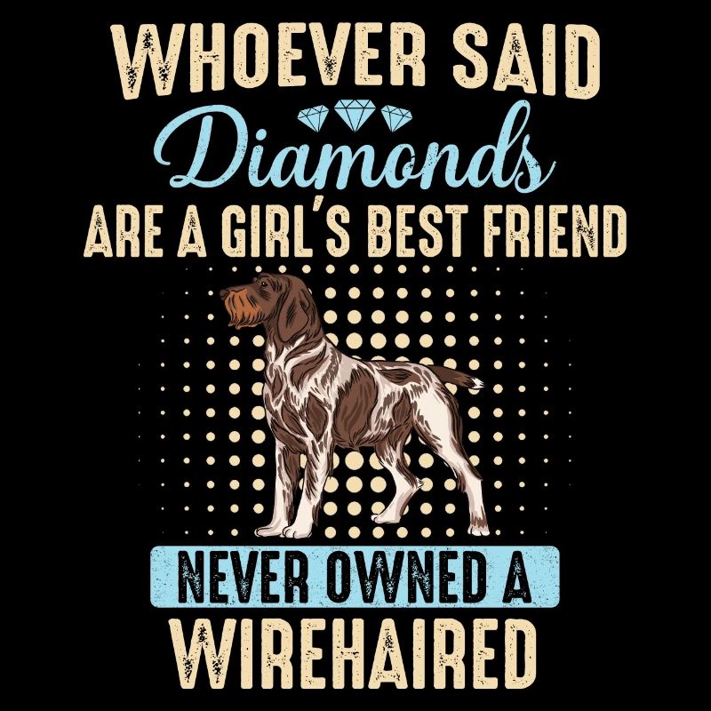 Deutsch Drahthaar Hund