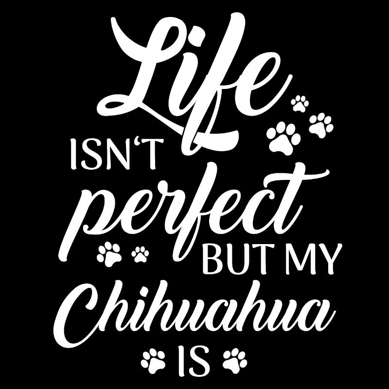 Chihuahua Dog