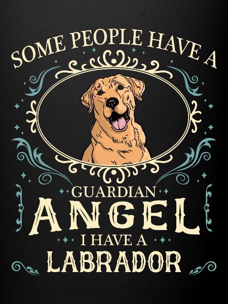 Chien Labrador