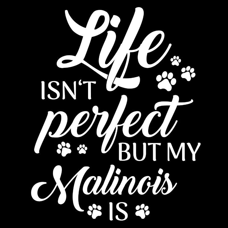 Malinois Dog