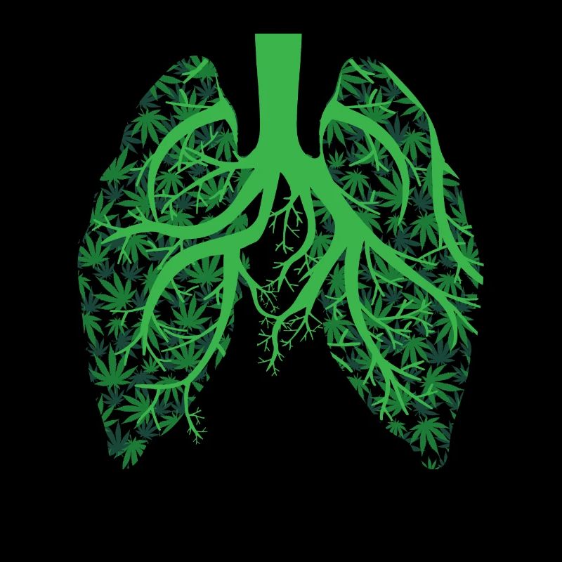 Cannabis Lungs