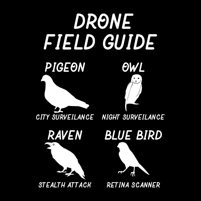 Funny Drone Guide