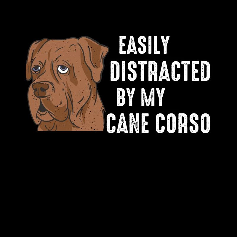 Cane Corso Hund