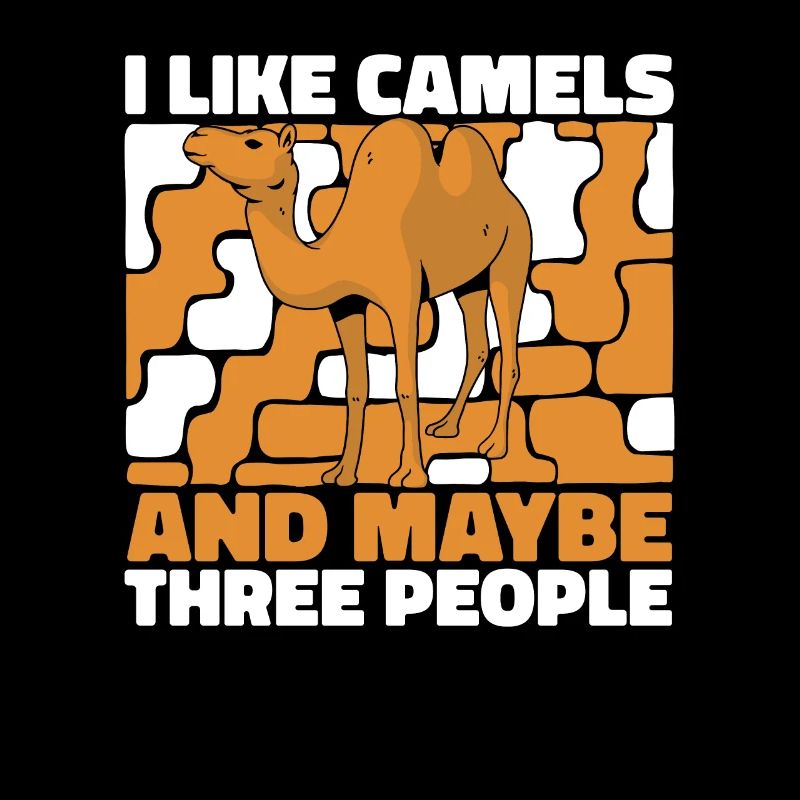 Camel Desert Camels Egypte