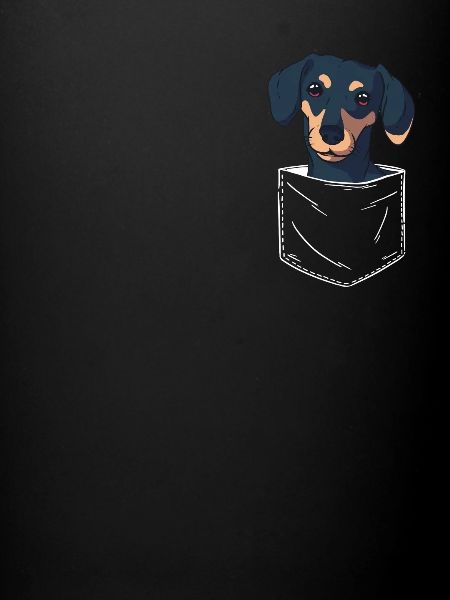 Dachshund Dog