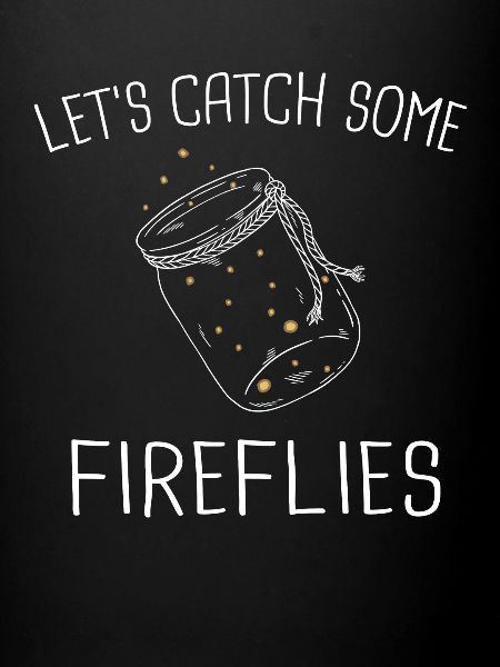 Firefly firefly insect