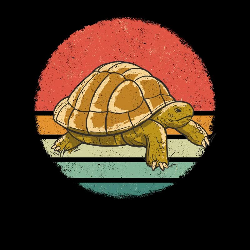 Turtle Sea Turtle Turtle Animal