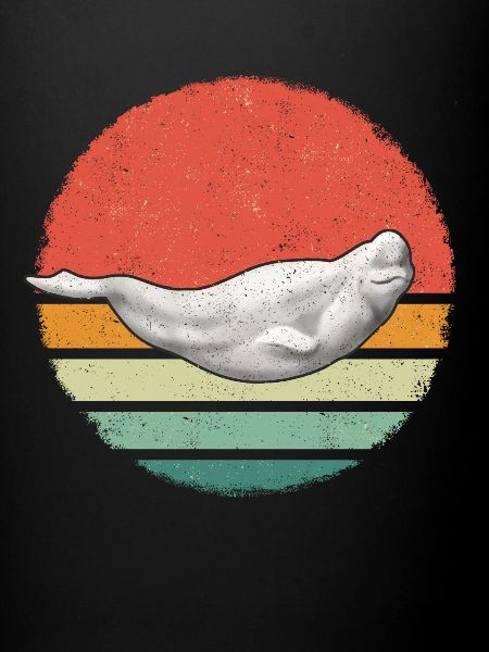Bélugas Océan Bélugas Baleines