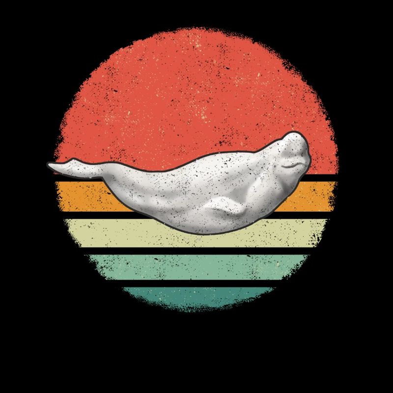 Bélugas Océan Bélugas Baleines