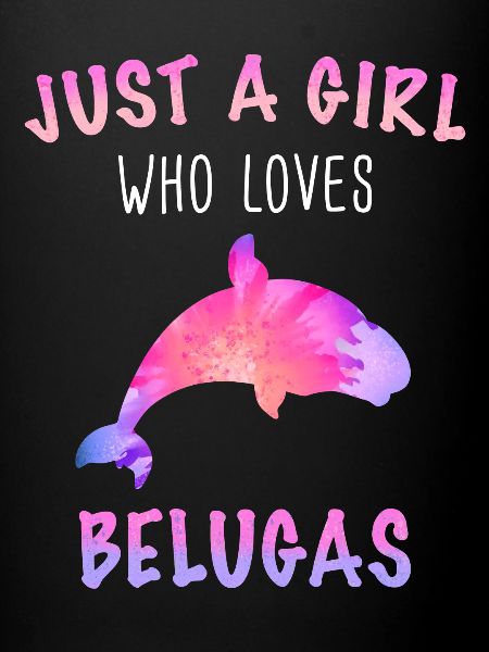 Bélugas Océan Bélugas Baleines