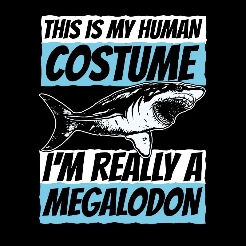Megalodon Requin Otodus