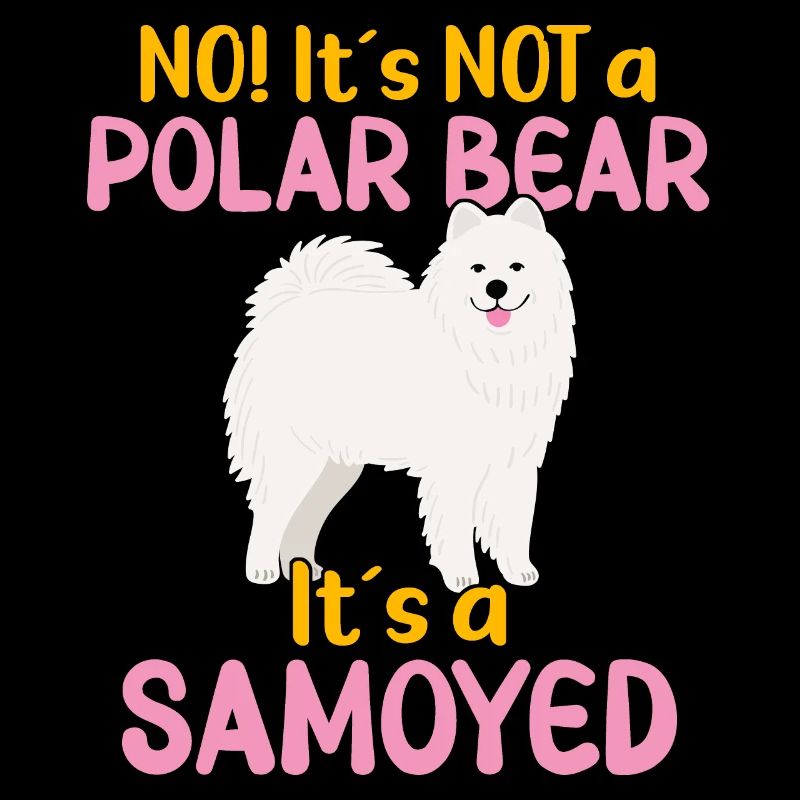 Loc Ce n’est pas un ours polaire - c’est un samoyède