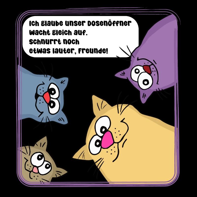Chats le matin