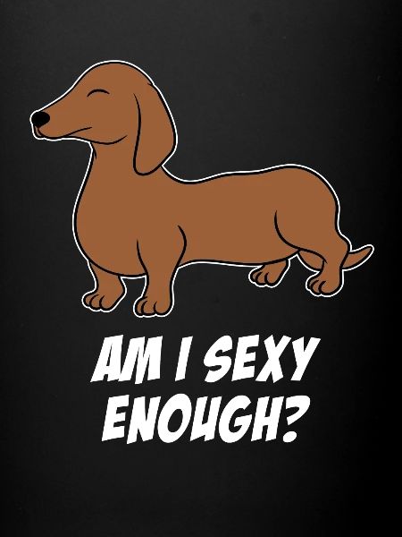 Teckel chien