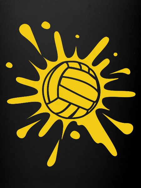 Volleyball