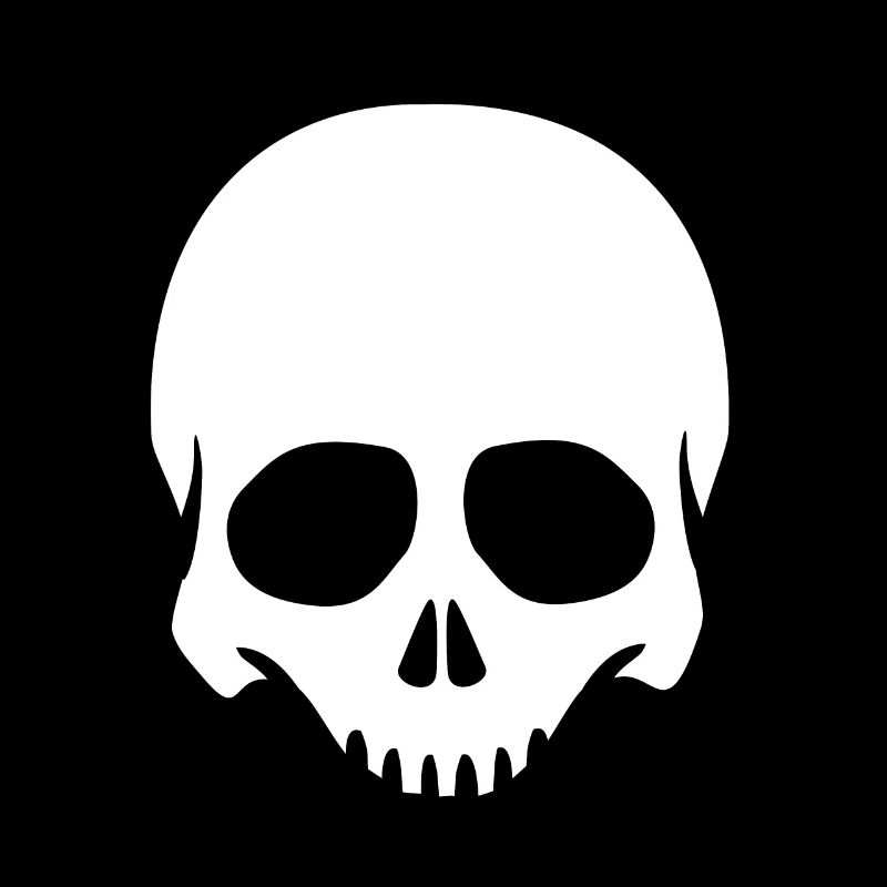 Skeleton Head Skull Skeleton