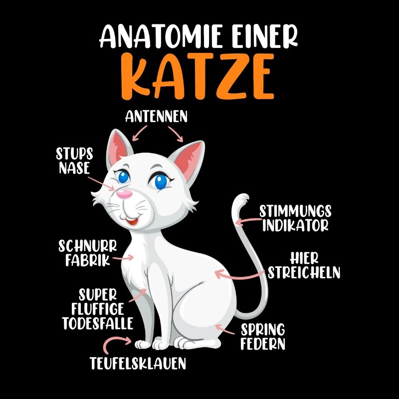Anatomie einer Katze