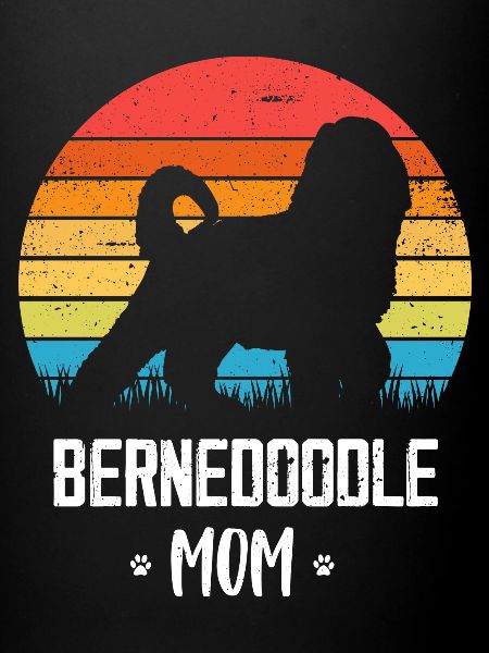 Bernedoodle Dog