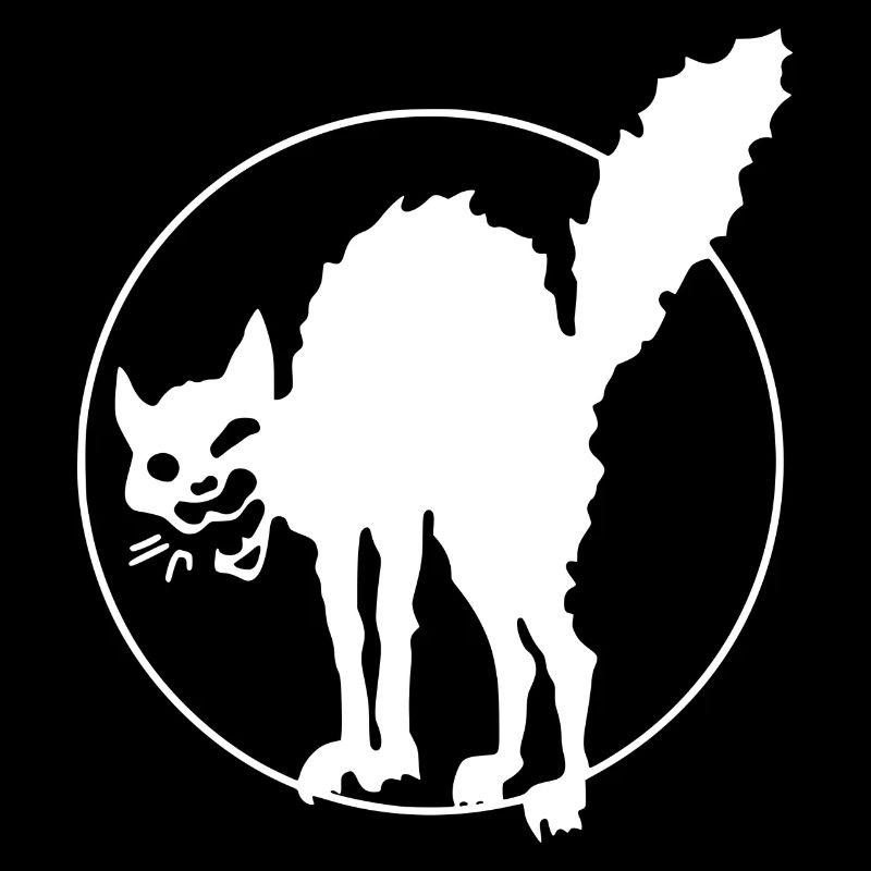 Chat anarchique