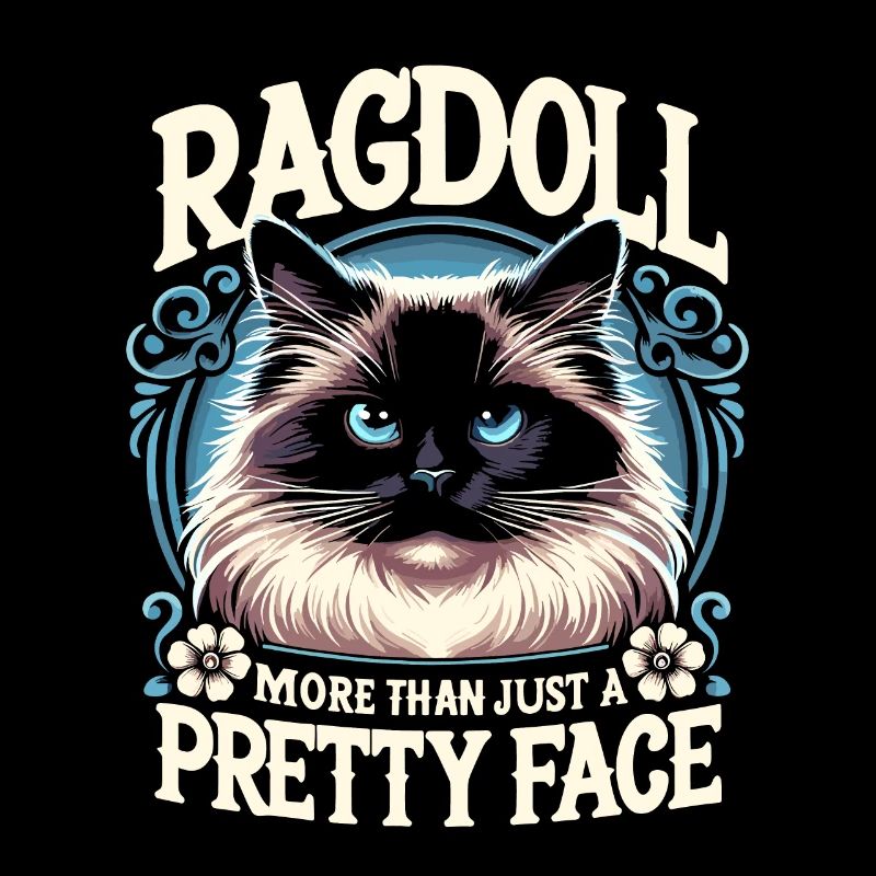 Ragdoll Mehr als nur eine hübsche Ragdolls-Katze