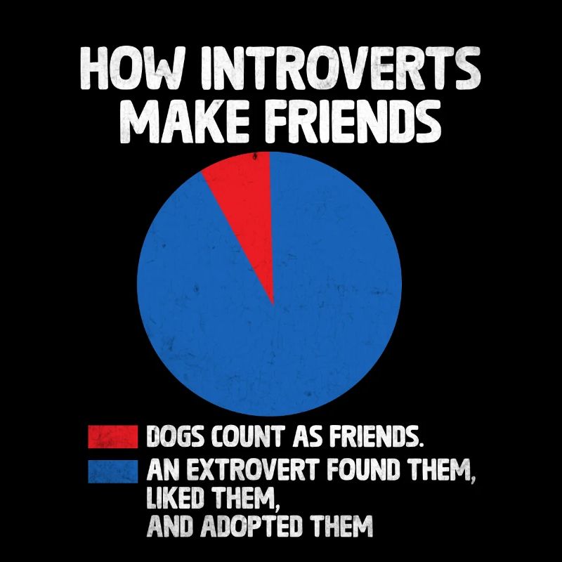 How Introverts Make Friends Sayings For Introverts