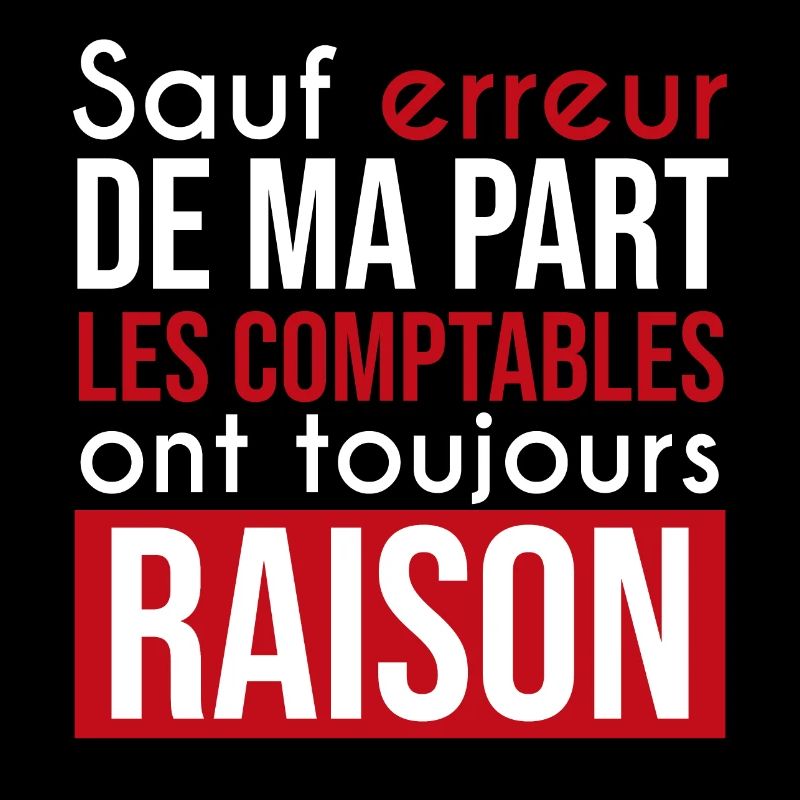 comptable toujours raison | compatibilité | métier