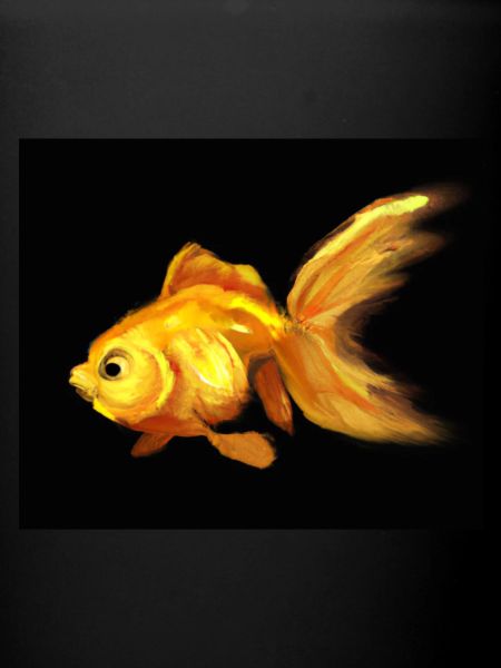 Poisson rouge