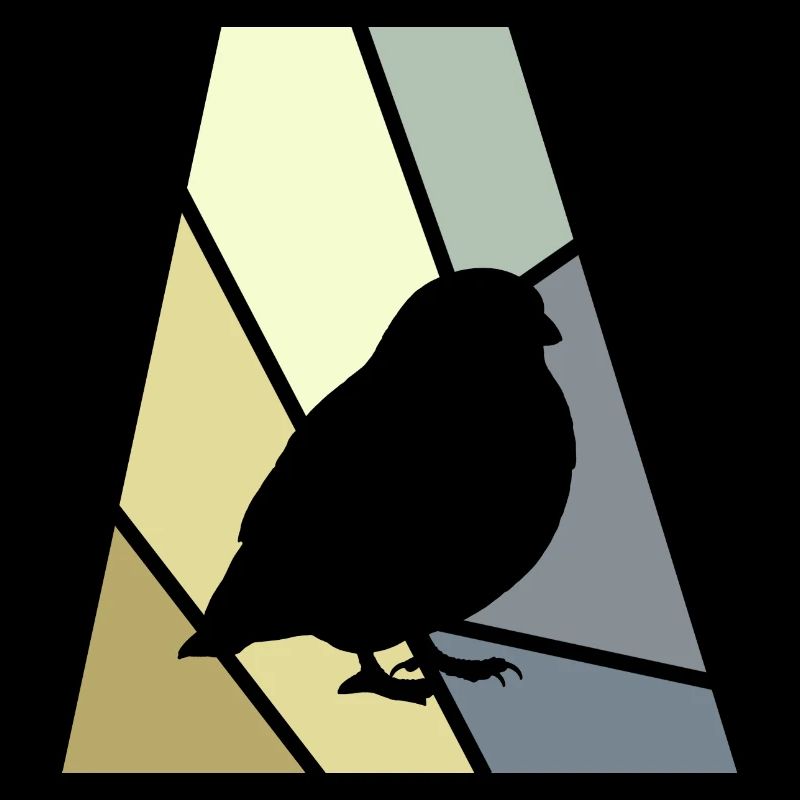 Perruche ondulée, observation des oiseaux, perruche
