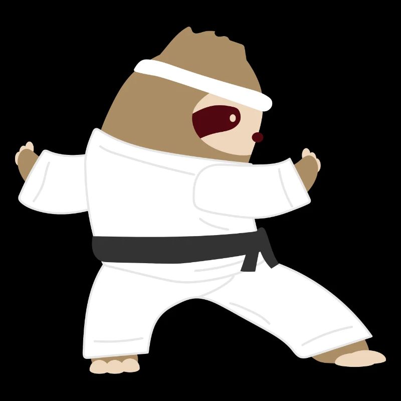 Sloth Karate Taekwondo Aikido Wingtsun Gift