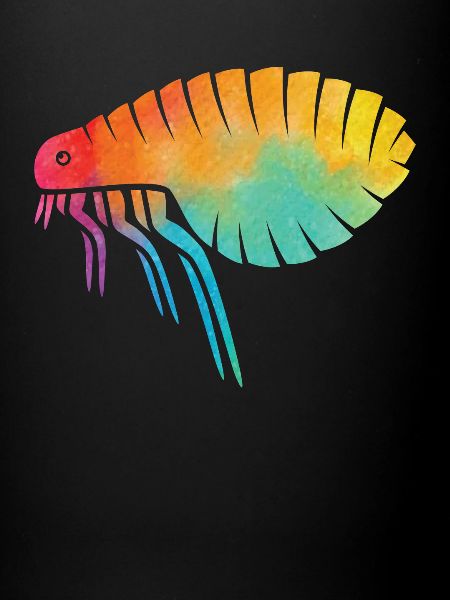 Flea Retro Shirt