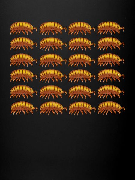 Cloportes