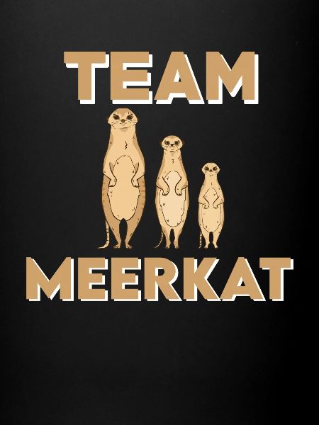 Team Meerkats